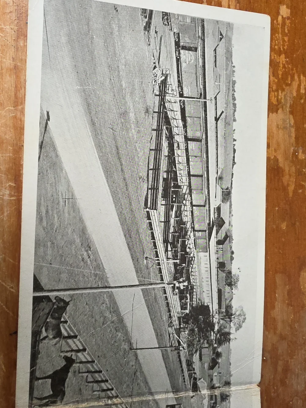Antique Post Card - Picture 1 of 7